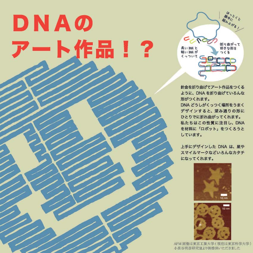 DNA_02